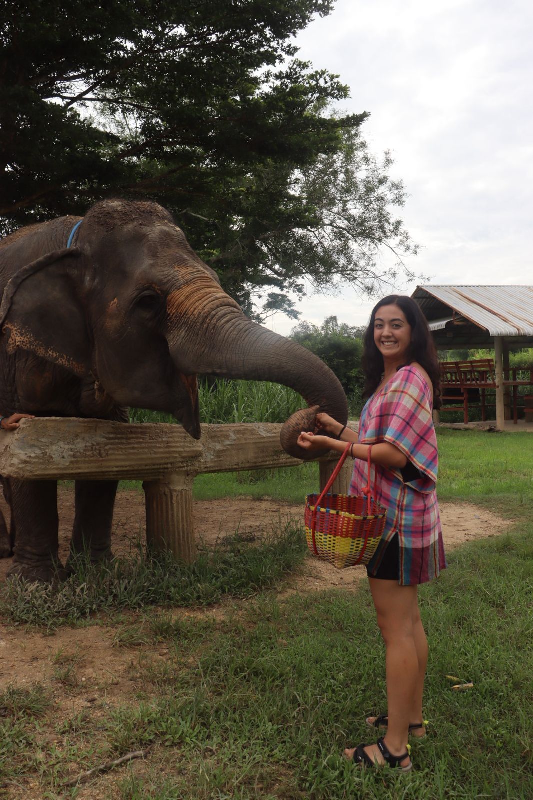 Leadership Experiences